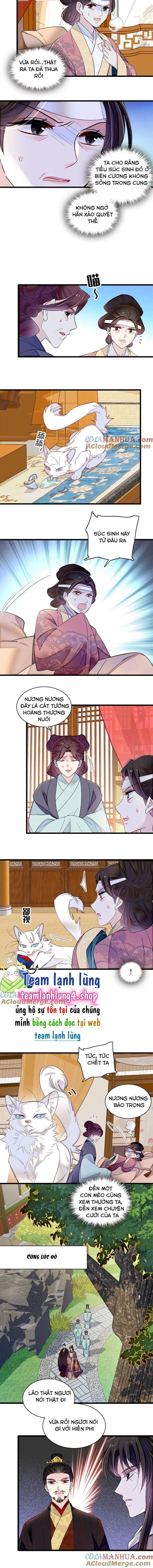 Tự Cẩm Chap 309 - Next Chap 310