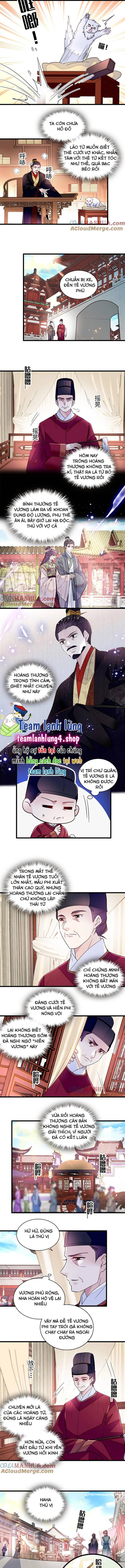 Tự Cẩm Chap 339 - Next Chap 340