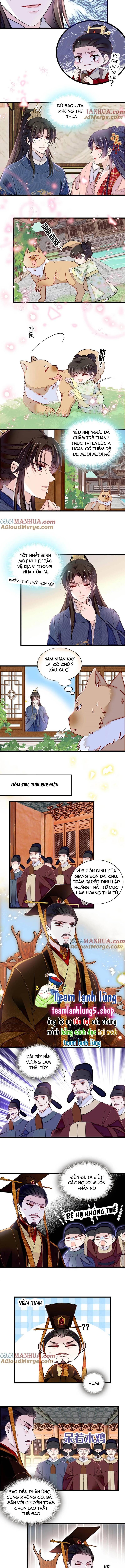 Tự Cẩm Chap 353 - Next Chap 354