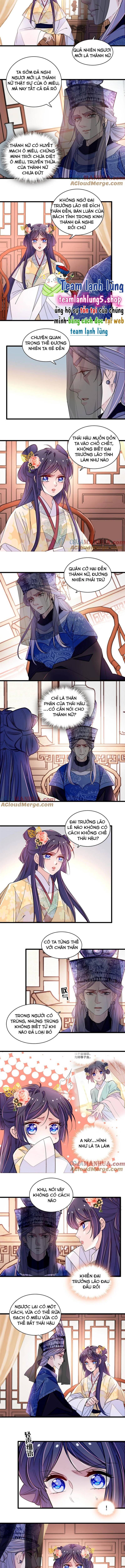 Tự Cẩm Chap 366 - Next Chap 367