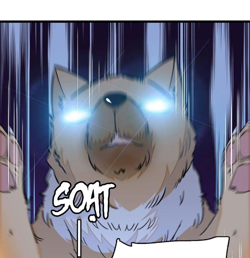 Tự Cẩm Chap 37 - Next Chap 38