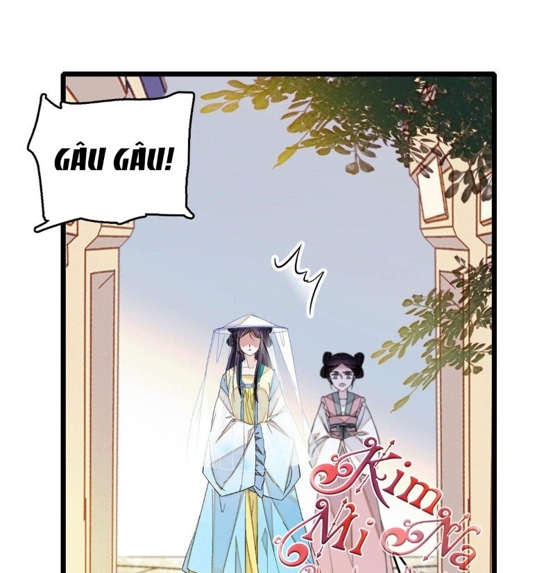 Tự Cẩm Chap 37 - Next Chap 38