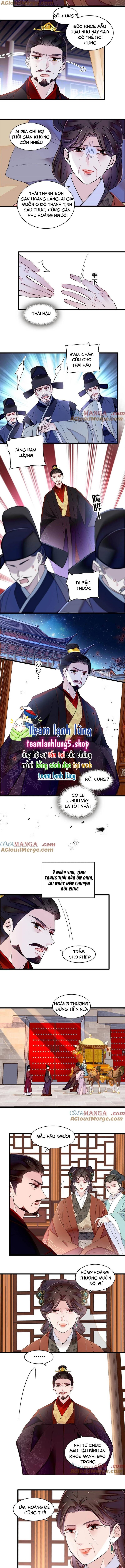 Tự Cẩm Chap 374 - Next Chap 375