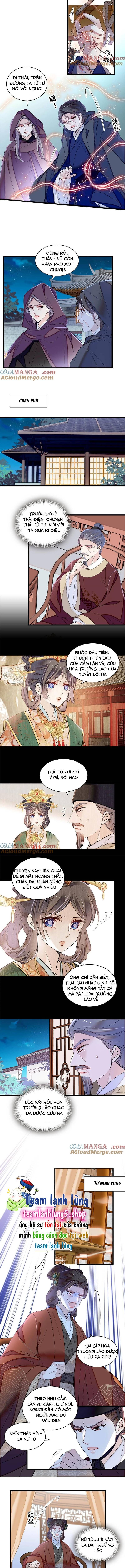 Tự Cẩm Chap 378 - Next Chap 379