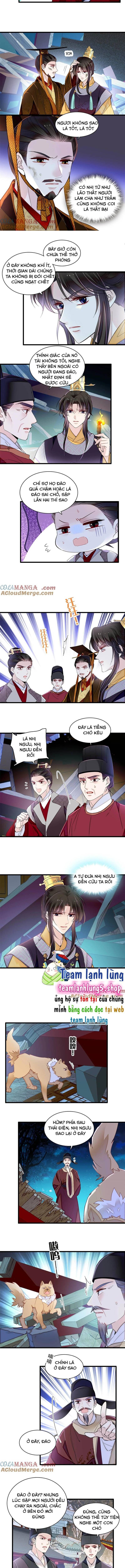 Tự Cẩm Chap 379 - Next Chap 380