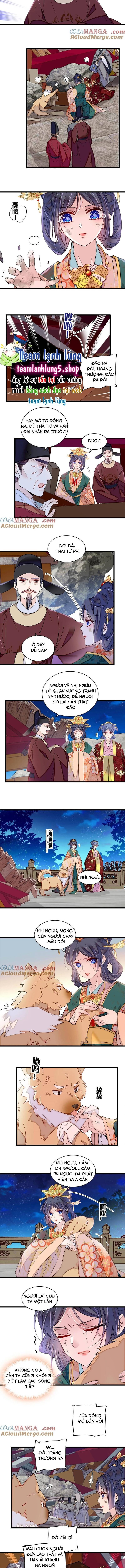Tự Cẩm Chap 381 - Next Chap 382