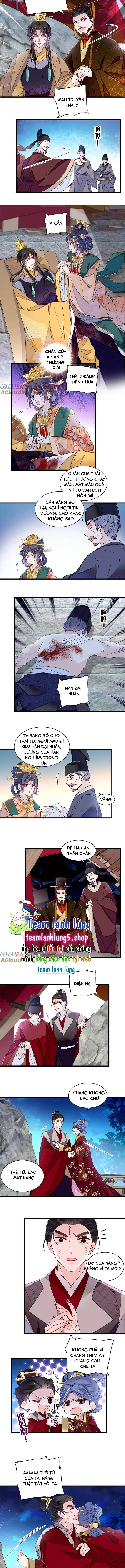Tự Cẩm Chap 381 - Next Chap 382