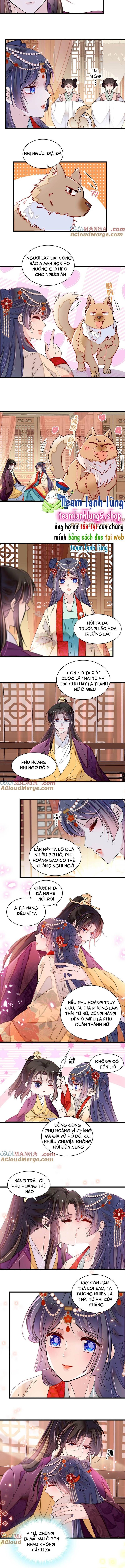 Tự Cẩm Chap 385 - Next Chap 386