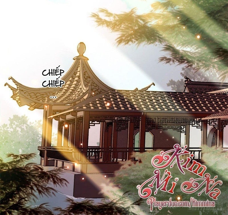 Tự Cẩm Chap 41 - Next Chap 42