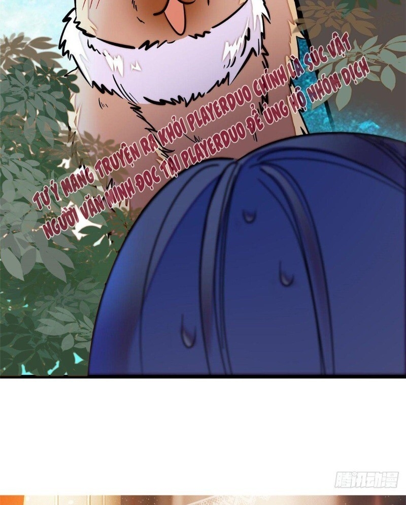 Tự Cẩm Chap 46 - Next Chap 47