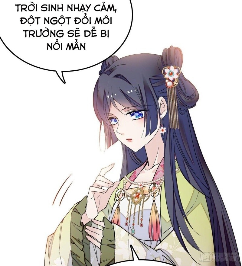 Tự Cẩm Chap 48 - Next Chap 49