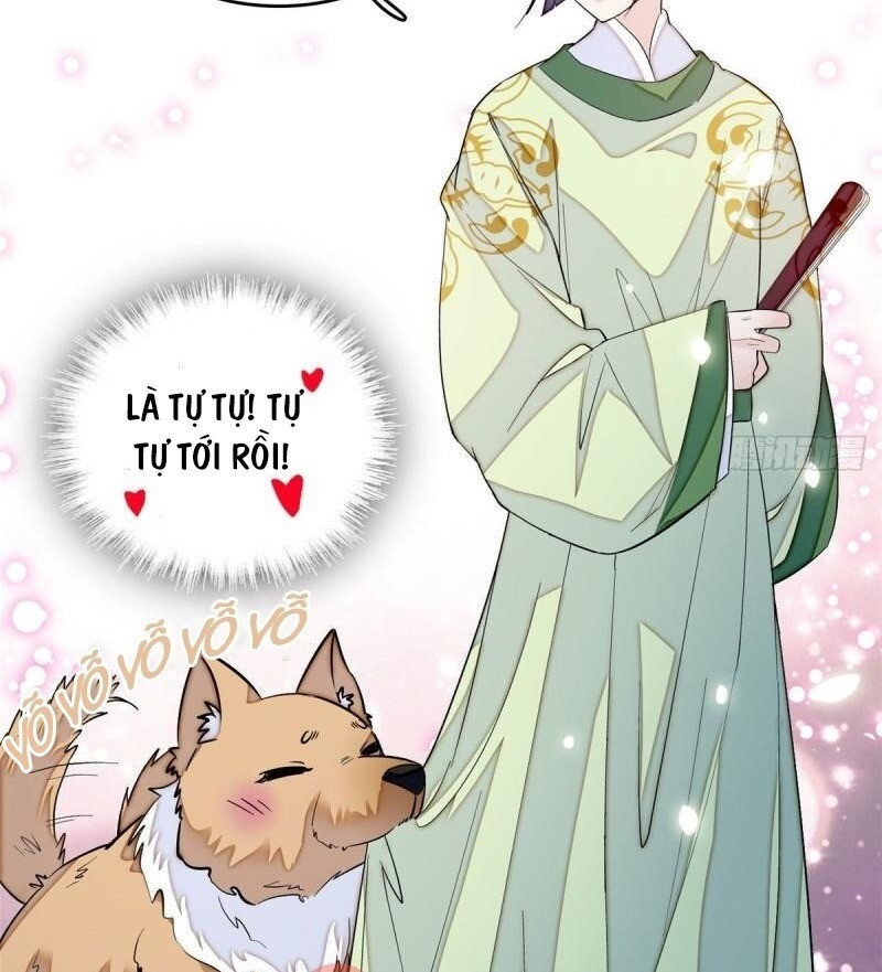 Tự Cẩm Chap 51 - Next Chap 52