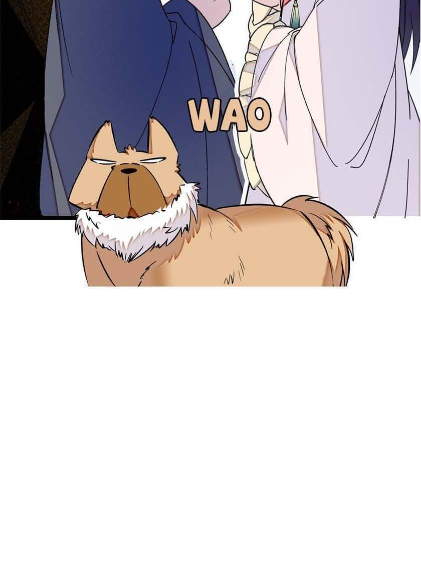 Tự Cẩm Chap 9 - Next Chap 10