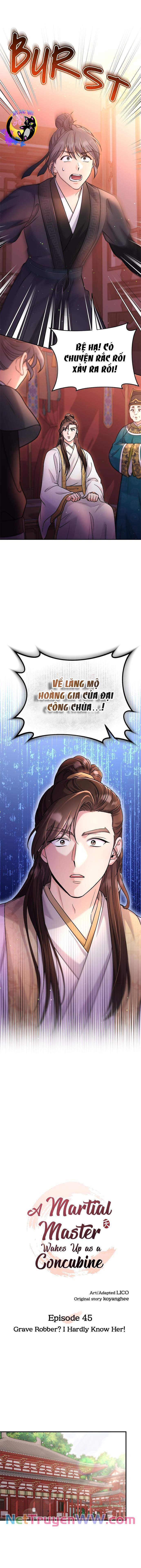 Từ Cao Thủ Trở Thành Phi Tần Chap 45 - Next Chap 46