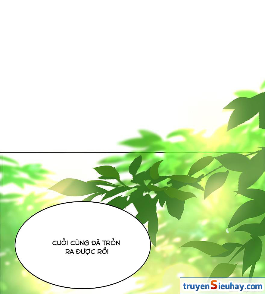 Tu Chân Nói Chuyện Phiếm Quần Chap 3 - Next Chap 4