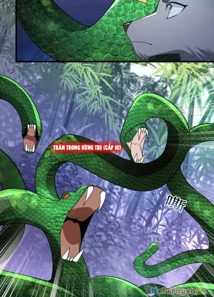 Từ Dã Quái Bắt Đầu Thăng Cấp Chap 10 - Next Chap 11