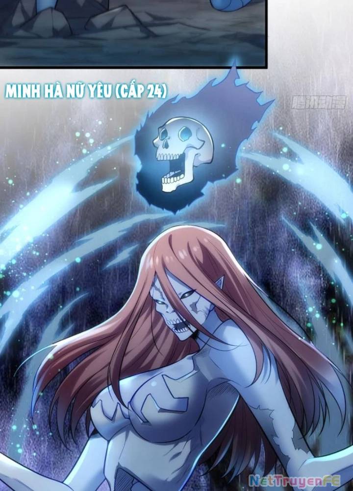 Từ Dã Quái Bắt Đầu Thăng Cấp Chap 14 - Next Chap 15