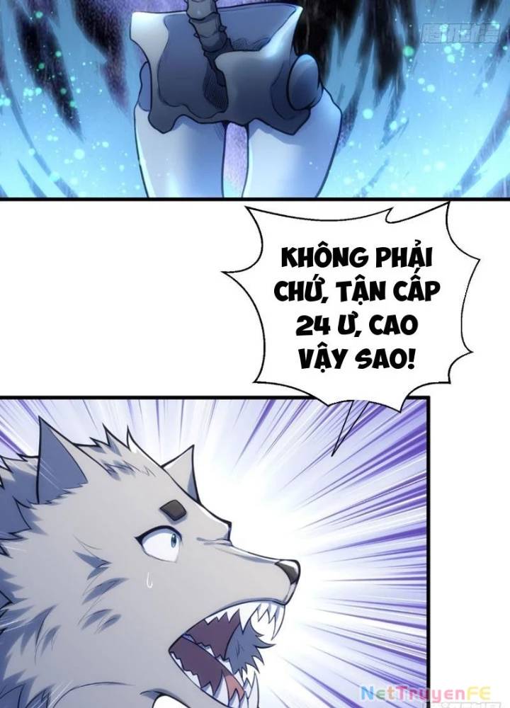 Từ Dã Quái Bắt Đầu Thăng Cấp Chap 14 - Next Chap 15