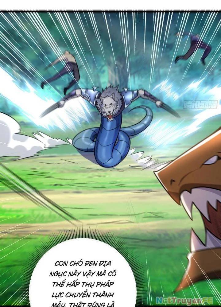 Từ Dã Quái Bắt Đầu Thăng Cấp Chap 21 - Next Chap 22
