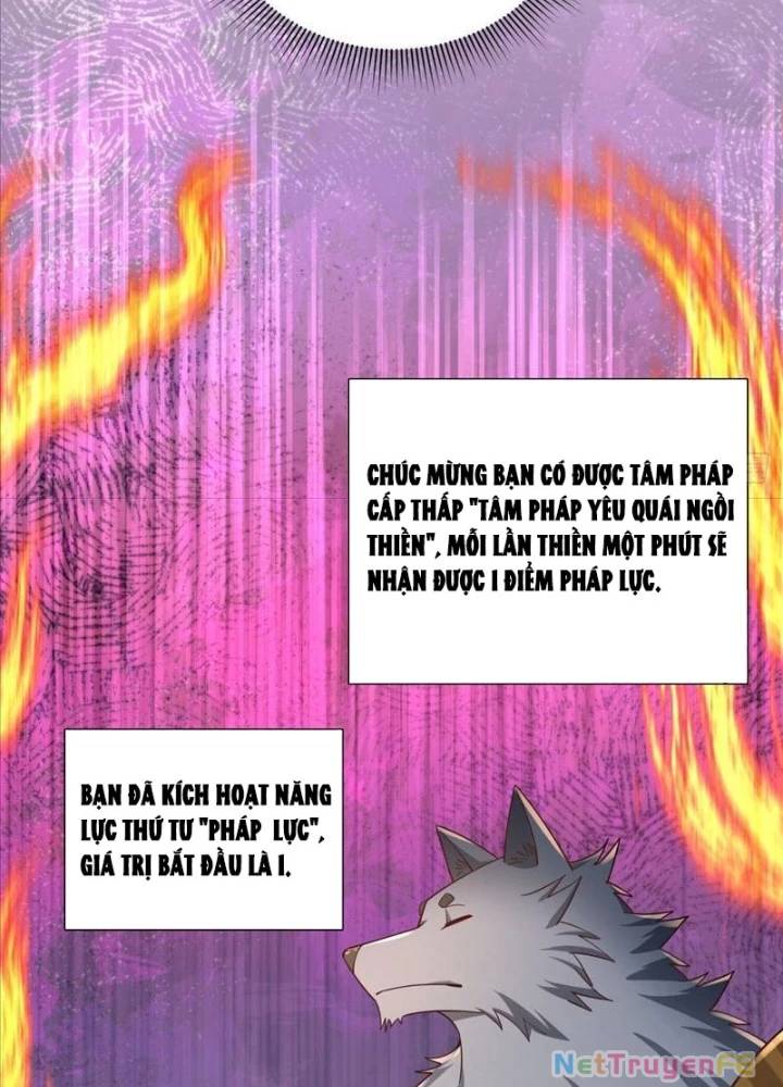 Từ Dã Quái Bắt Đầu Thăng Cấp Chap 7 - Next Chap 8
