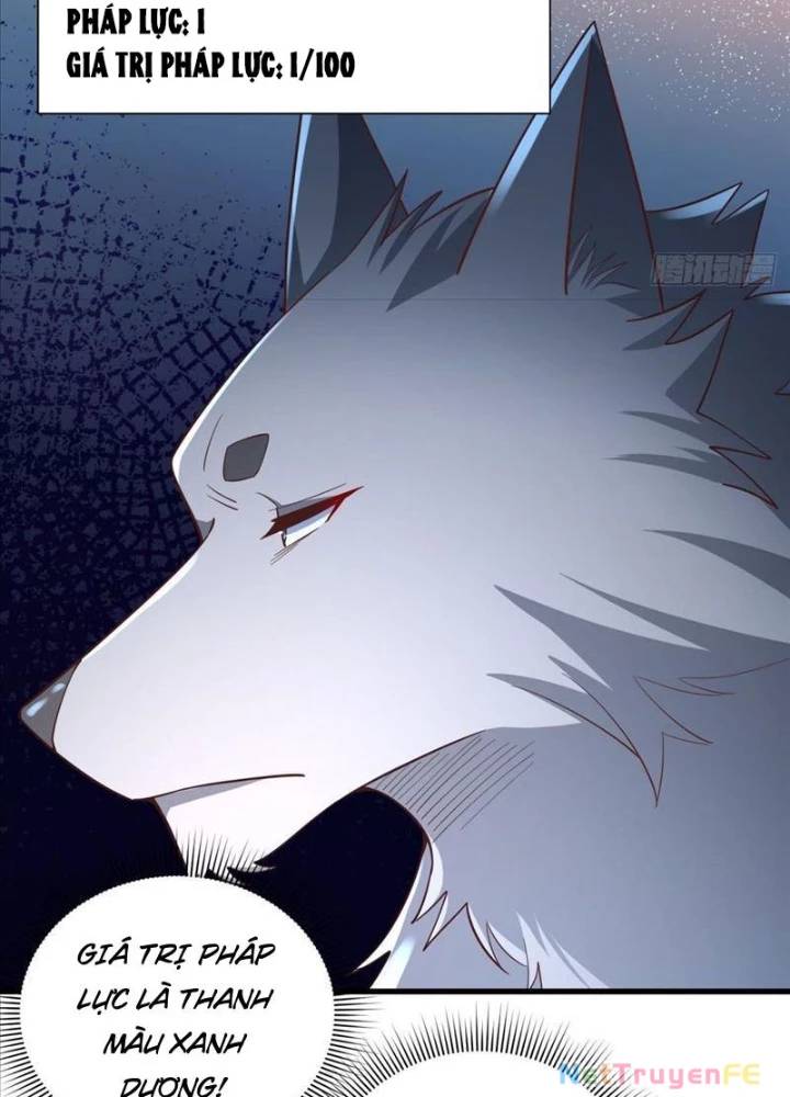 Từ Dã Quái Bắt Đầu Thăng Cấp Chap 7 - Next Chap 8