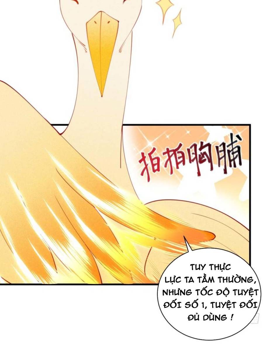 Tu Tiên Phải Dựa Vào Sugar Mommy Chap 174 - Next Chap 175