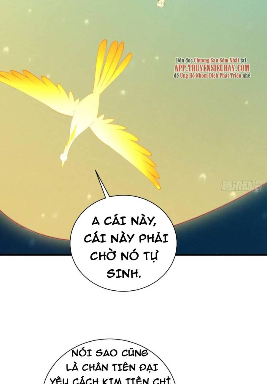 Tu Tiên Phải Dựa Vào Sugar Mommy Chap 178 - Next Chap 179