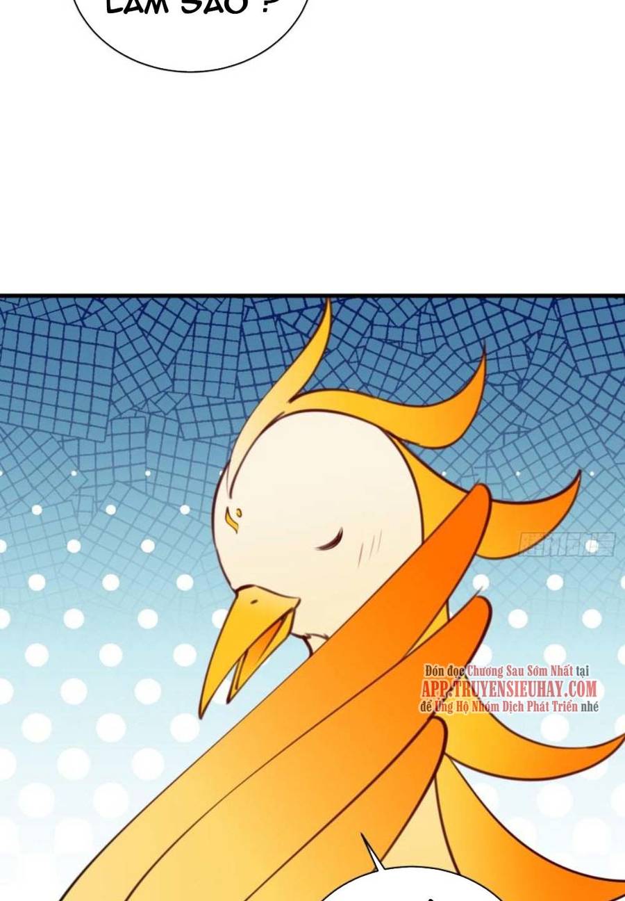 Tu Tiên Phải Dựa Vào Sugar Mommy Chap 178 - Next Chap 179