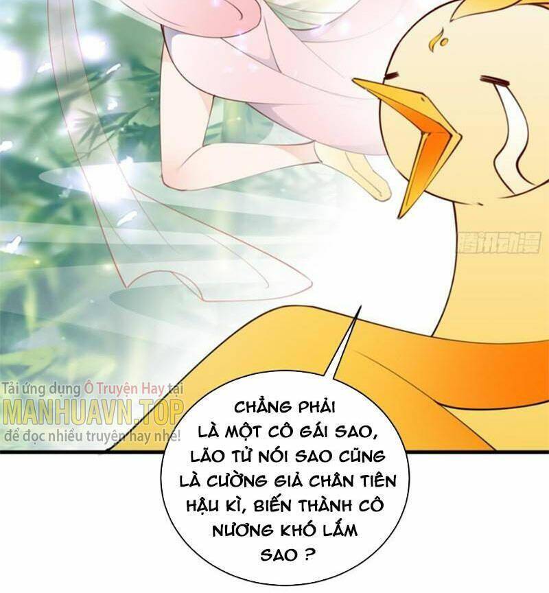 Tu Tiên Phải Dựa Vào Sugar Mommy Chap 183 - Next Chap 184