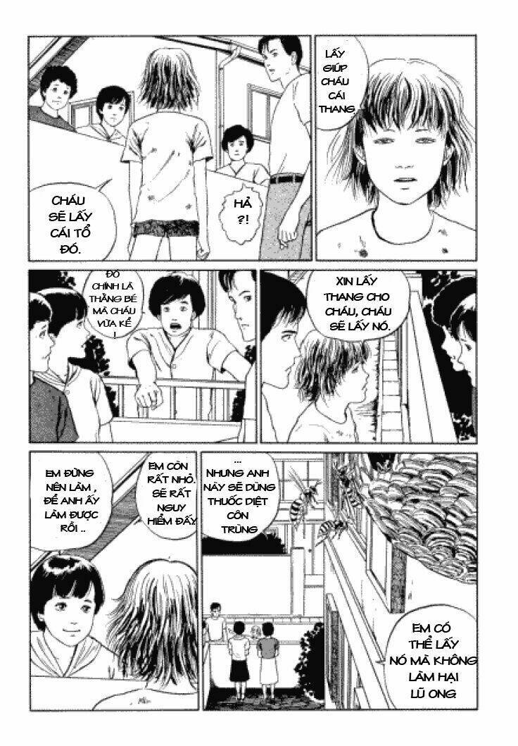 Tuyển Tập Truyện Ngắn Kinh Dị Của Ito Junji Chap 33 - Next Chap 34