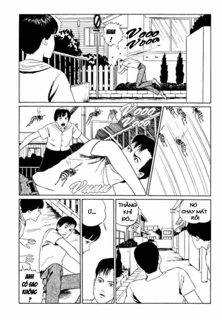 Tuyển Tập Truyện Ngắn Kinh Dị Của Ito Junji Chap 33 - Next Chap 34