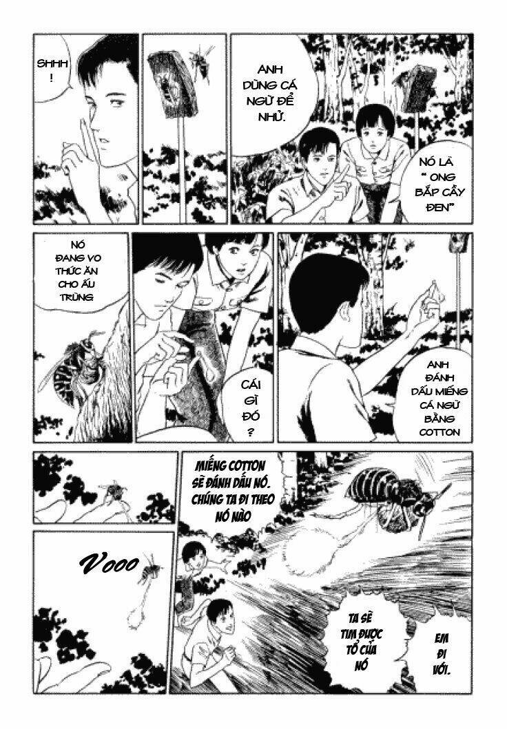 Tuyển Tập Truyện Ngắn Kinh Dị Của Ito Junji Chap 33 - Next Chap 34