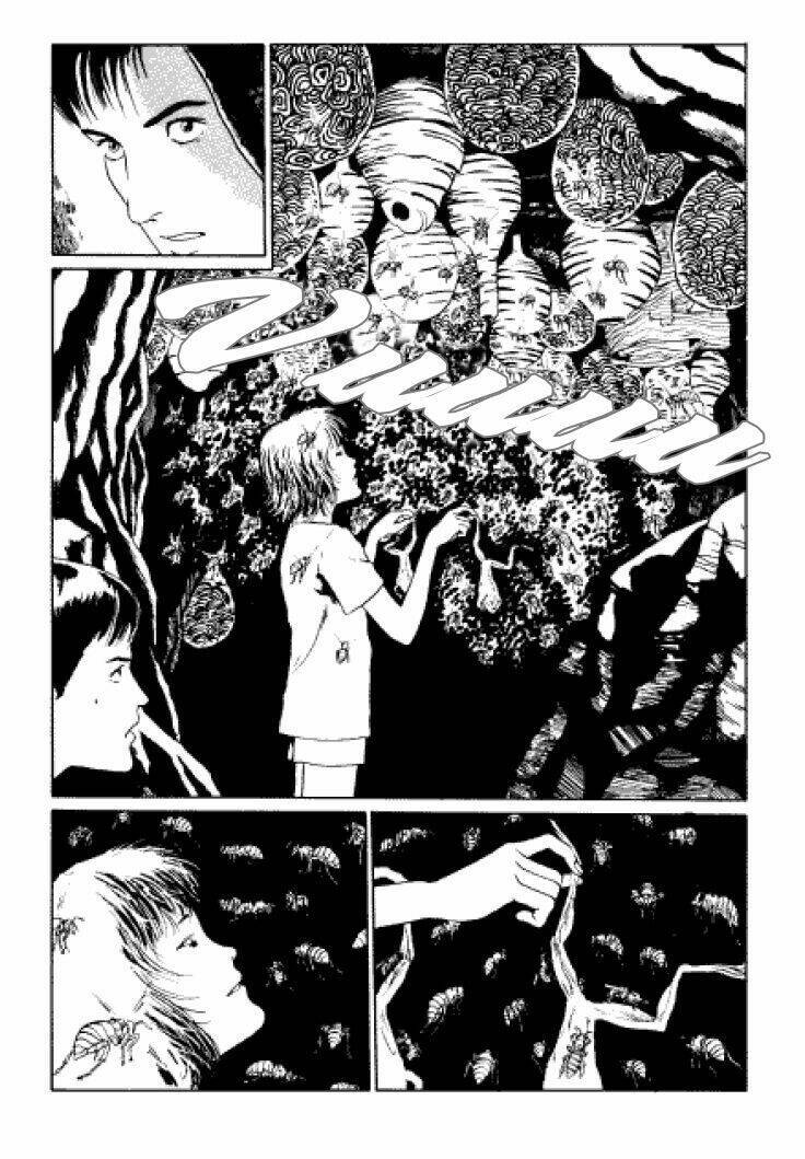 Tuyển Tập Truyện Ngắn Kinh Dị Của Ito Junji Chap 33 - Next Chap 34