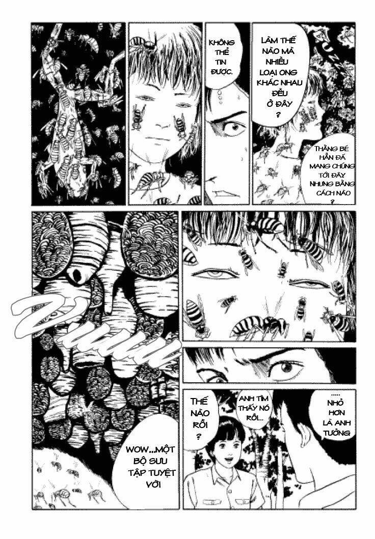 Tuyển Tập Truyện Ngắn Kinh Dị Của Ito Junji Chap 33 - Next Chap 34