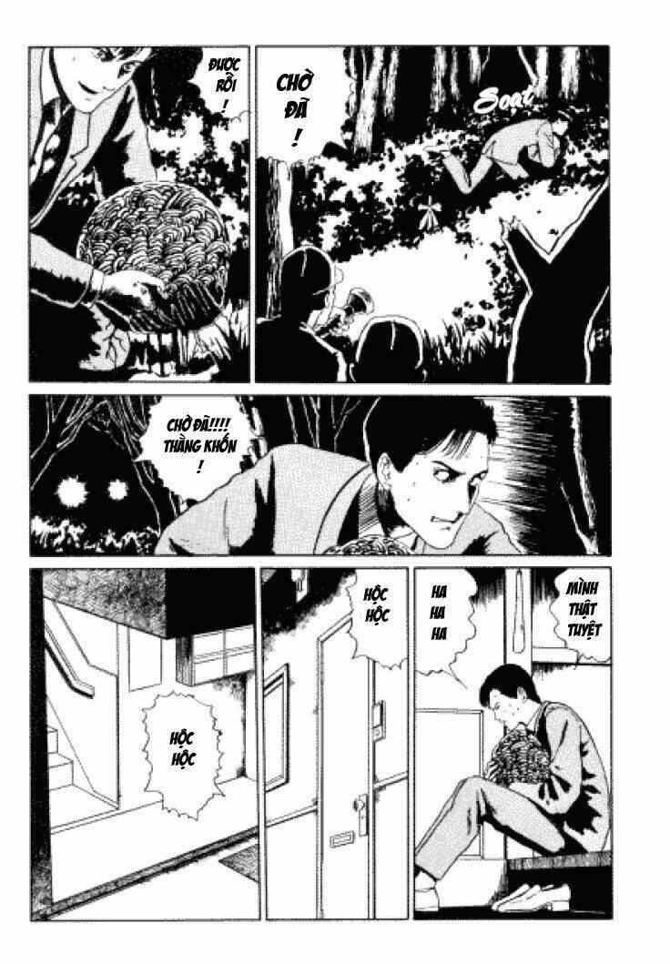 Tuyển Tập Truyện Ngắn Kinh Dị Của Ito Junji Chap 33 - Next Chap 34