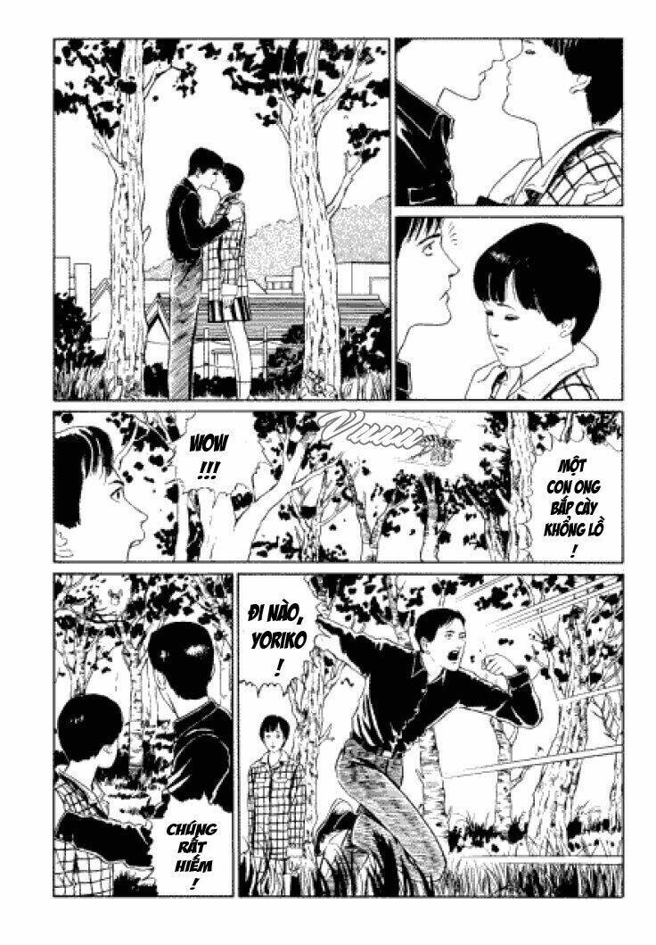 Tuyển Tập Truyện Ngắn Kinh Dị Của Ito Junji Chap 33 - Next Chap 34