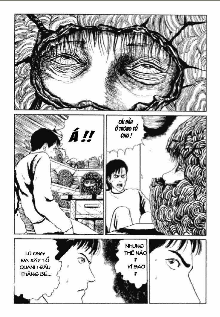 Tuyển Tập Truyện Ngắn Kinh Dị Của Ito Junji Chap 33 - Next Chap 34