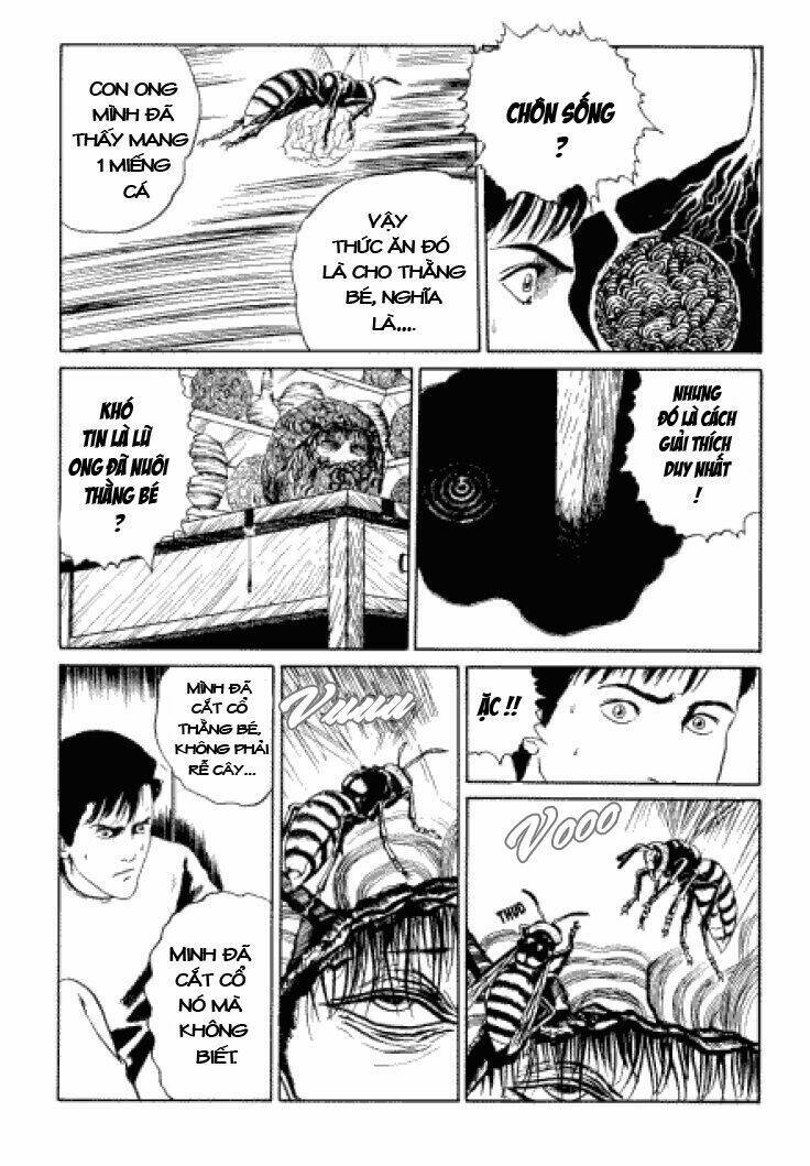 Tuyển Tập Truyện Ngắn Kinh Dị Của Ito Junji Chap 33 - Next Chap 34