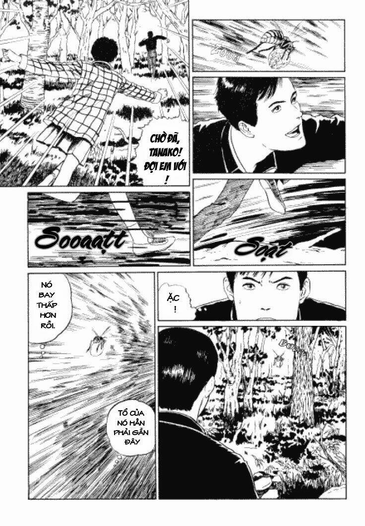 Tuyển Tập Truyện Ngắn Kinh Dị Của Ito Junji Chap 33 - Next Chap 34