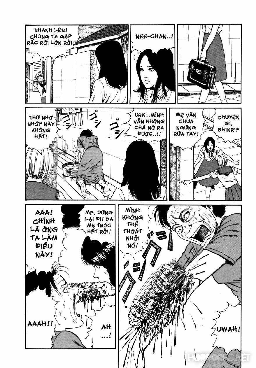 Tuyển Tập Truyện Ngắn Kinh Dị Của Ito Junji Chap 76 - Next Chap 77
