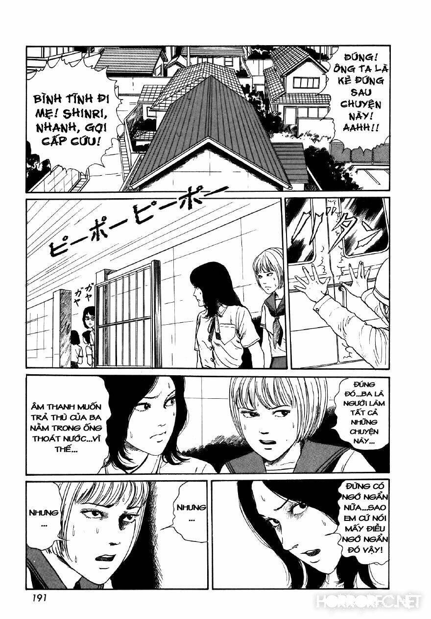 Tuyển Tập Truyện Ngắn Kinh Dị Của Ito Junji Chap 76 - Next Chap 77