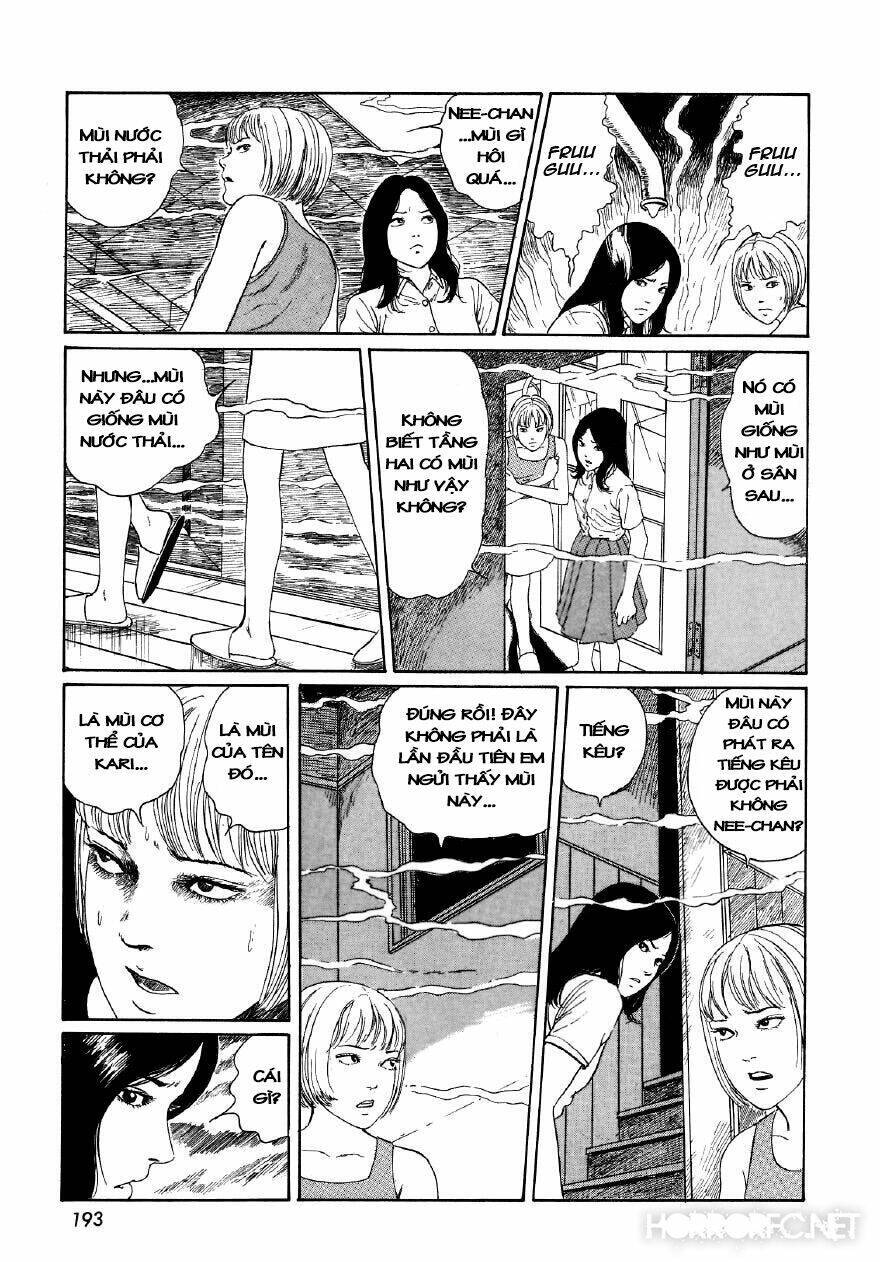 Tuyển Tập Truyện Ngắn Kinh Dị Của Ito Junji Chap 76 - Next Chap 77