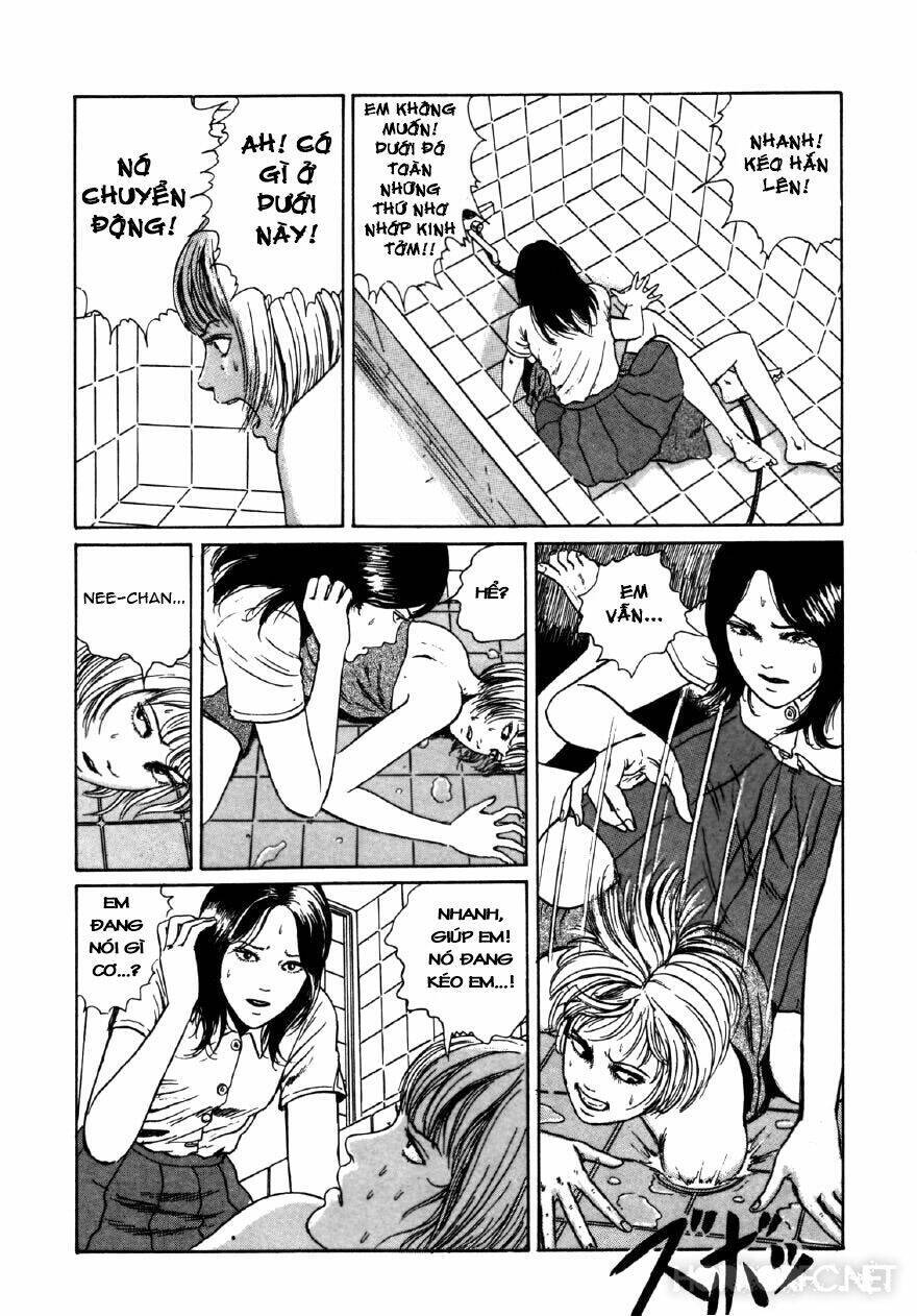 Tuyển Tập Truyện Ngắn Kinh Dị Của Ito Junji Chap 76 - Next Chap 77
