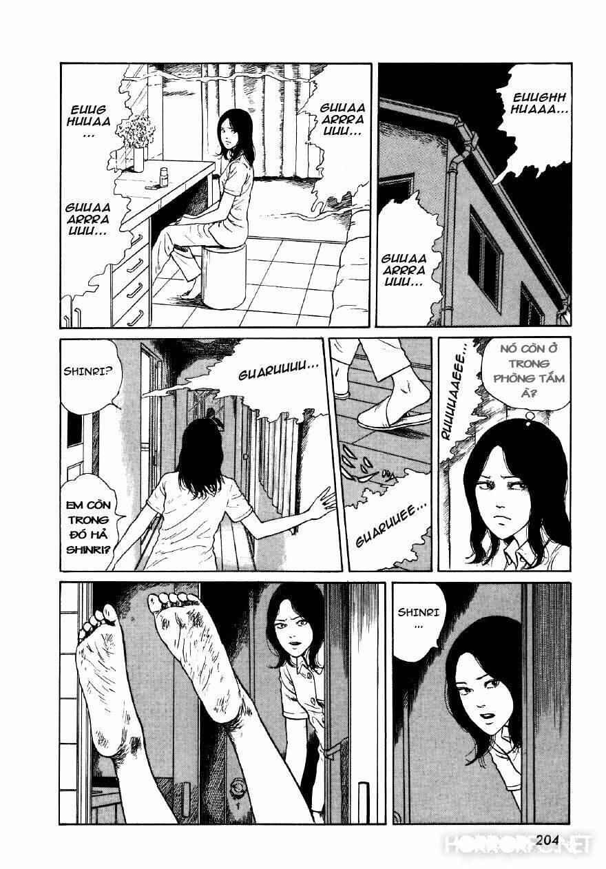 Tuyển Tập Truyện Ngắn Kinh Dị Của Ito Junji Chap 76 - Next Chap 77
