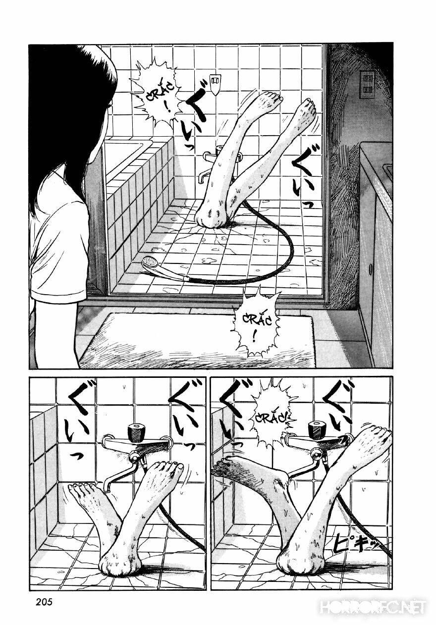 Tuyển Tập Truyện Ngắn Kinh Dị Của Ito Junji Chap 76 - Next Chap 77