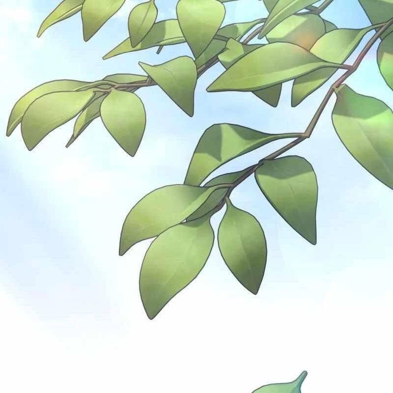 Tuyệt Đỉnh Bác Sĩ Chap 12 - Next Chap 13