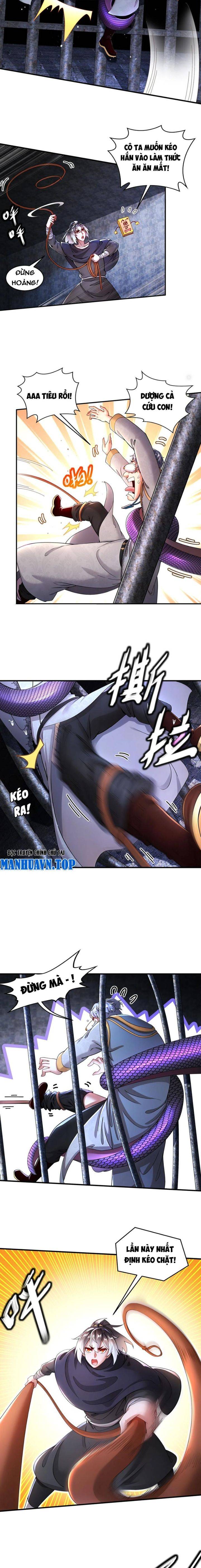 Tuyệt Sắc Đạo Lữ Đều Nói Ngô Hoàng Thể Chất Vô Địch Chap 240 - Next Chap 241
