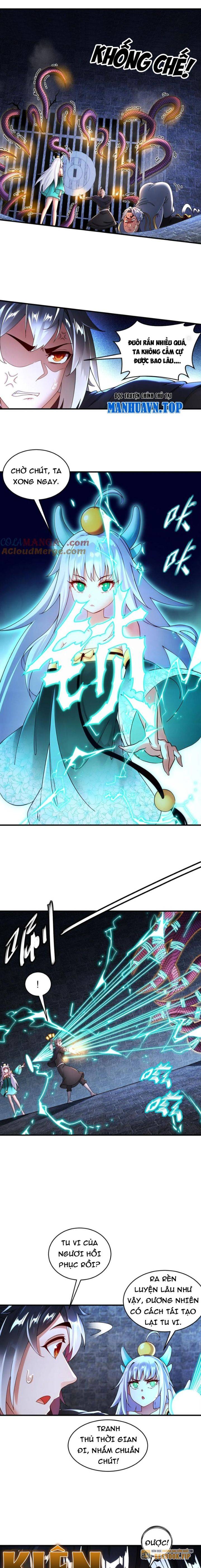 Tuyệt Sắc Đạo Lữ Đều Nói Ngô Hoàng Thể Chất Vô Địch Chap 241 - Next Chap 242