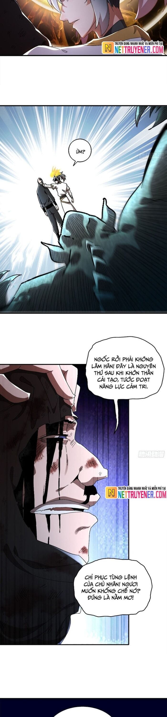 Tuyệt Sắc Đạo Lữ Đều Nói Ngô Hoàng Thể Chất Vô Địch Chap 384 - Next Chap 385