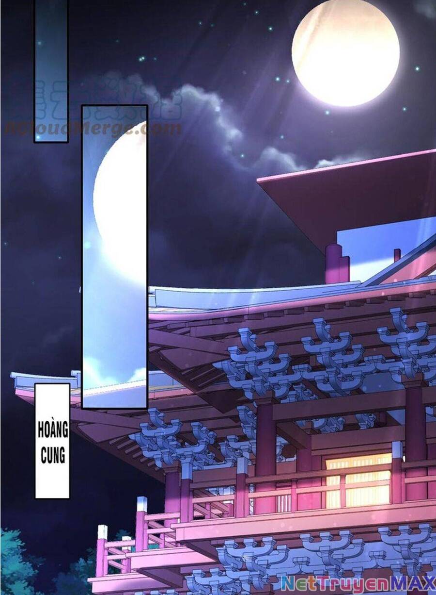 Tuyệt Sắc Đạo Lữ Đều Nói Ngô Hoàng Thể Chất Vô Địch Chap 53 - Next Chap 54